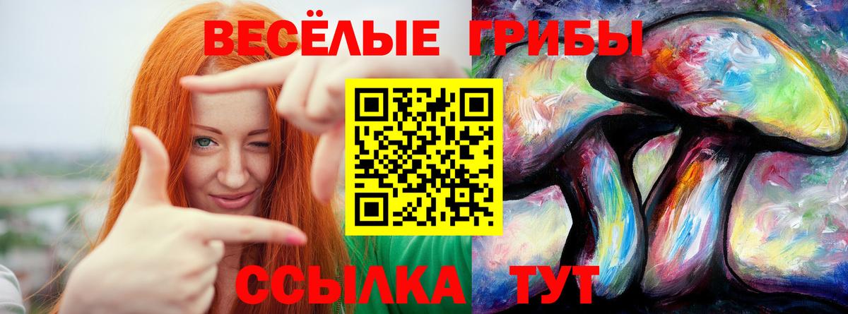 Псилоцибиновые грибы Psilocybine cubensis  Вход с VPN  где продают наркотики  Амурск 